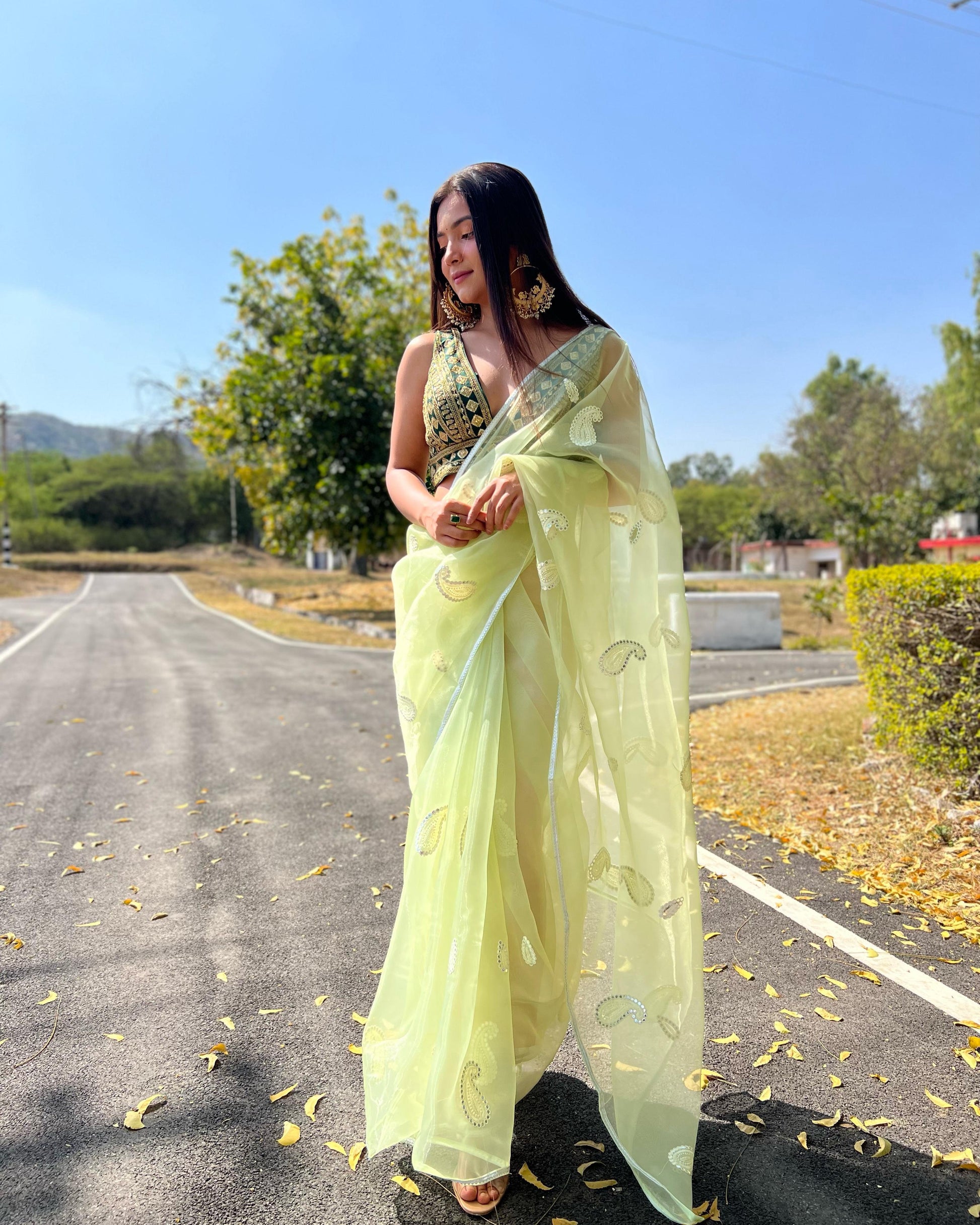 hooriya Fashions - Organza Gotawork saree