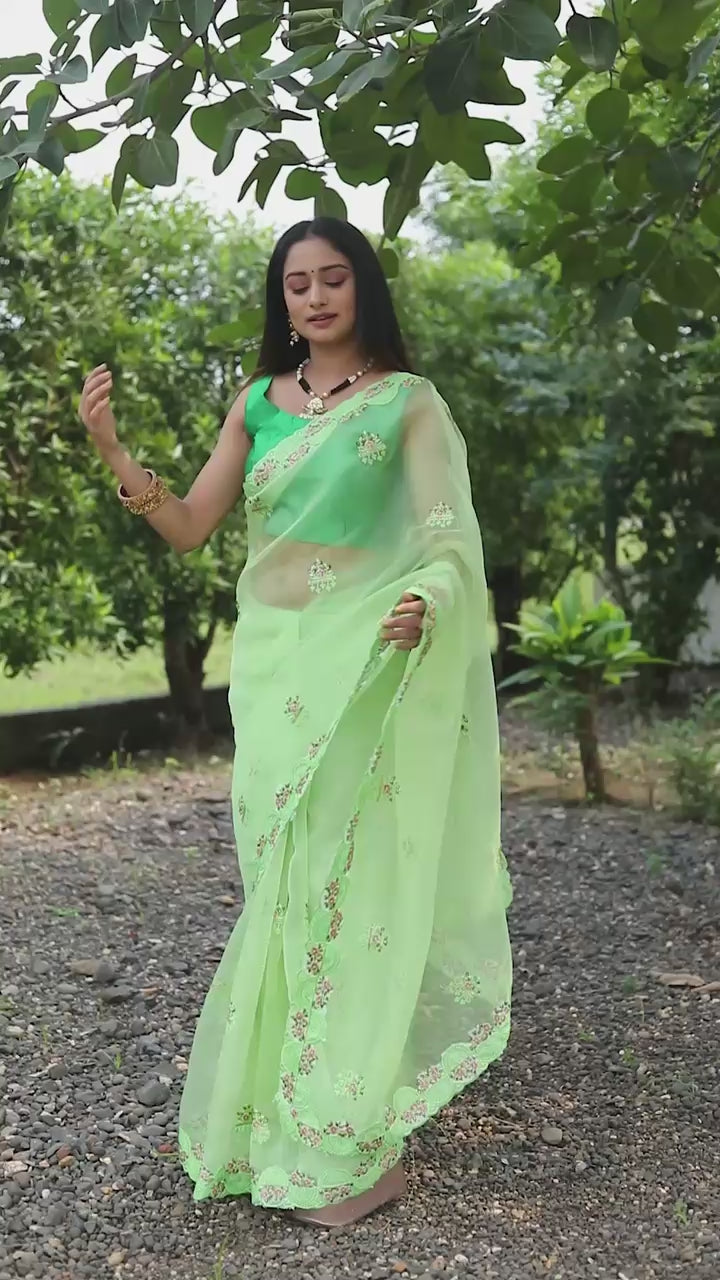 Hooriya fashions - BEAUTIFUL ORGANZA SAREE