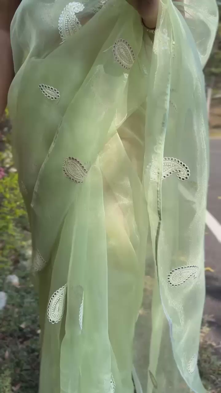hooriya Fashions - Organza Gotawork saree